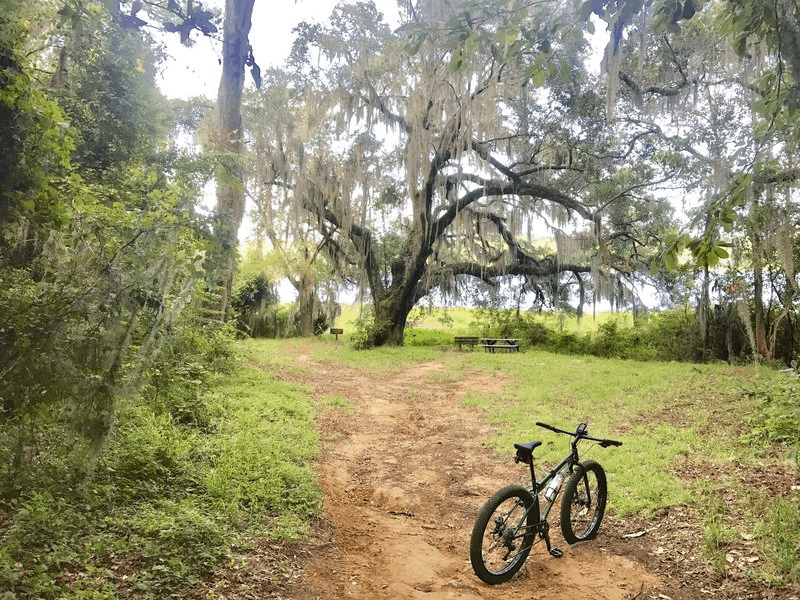 10 Best Mountain Bike Trails In Florida Mountain Bike Rides