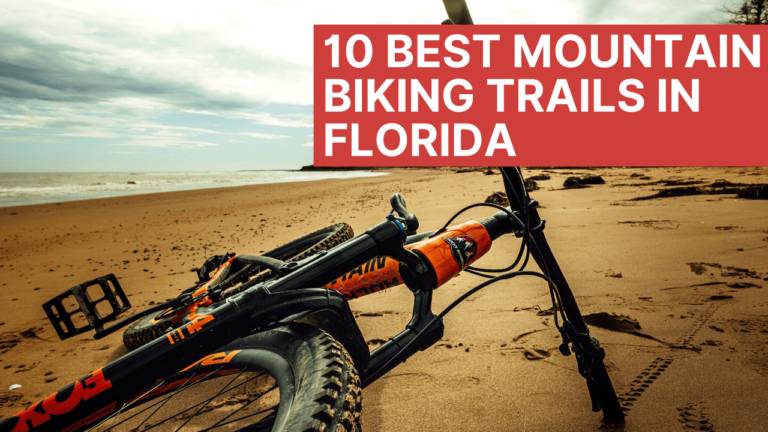 10 Best Mountain Bike Trails In Florida Mountain Bikes Ride