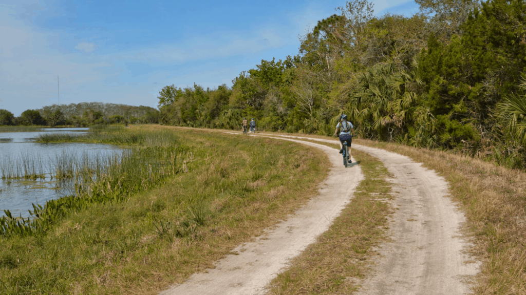 Orlando Wetlands Park MTB Trails