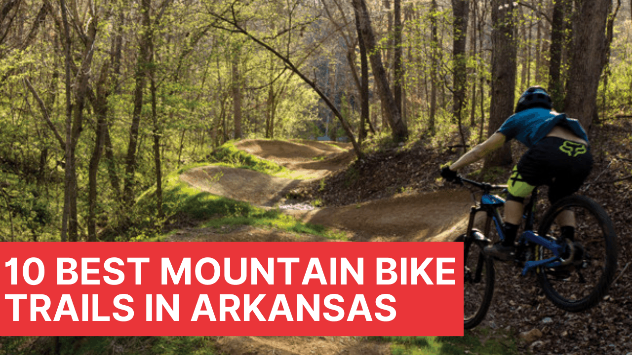 Best Mountain Bike Trails in Arkansas