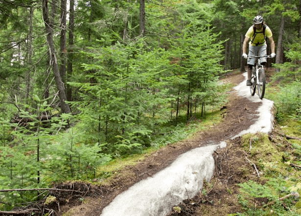 Mountain Biking in Vermont Ascutney Trails