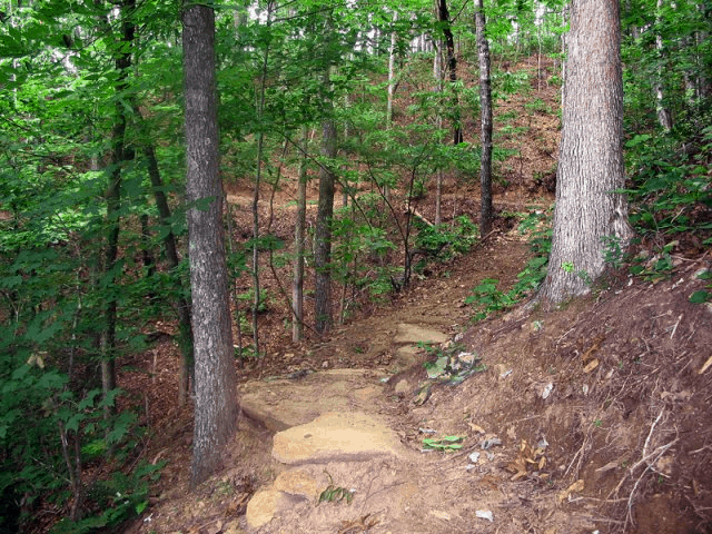 Blanket Creek Mountain Bike Trails in Georgia