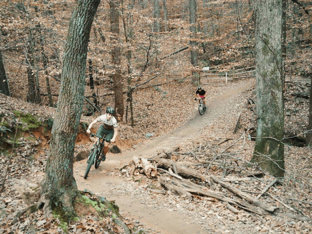 Sope Creek Mountain Bike Trails in Georgia