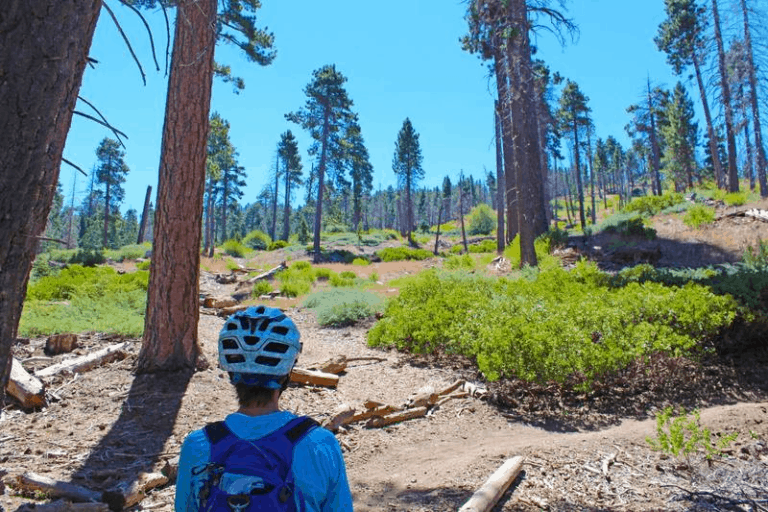 10 Best Big Bear Mountain Bike Trails - Mountain Bikes Ride