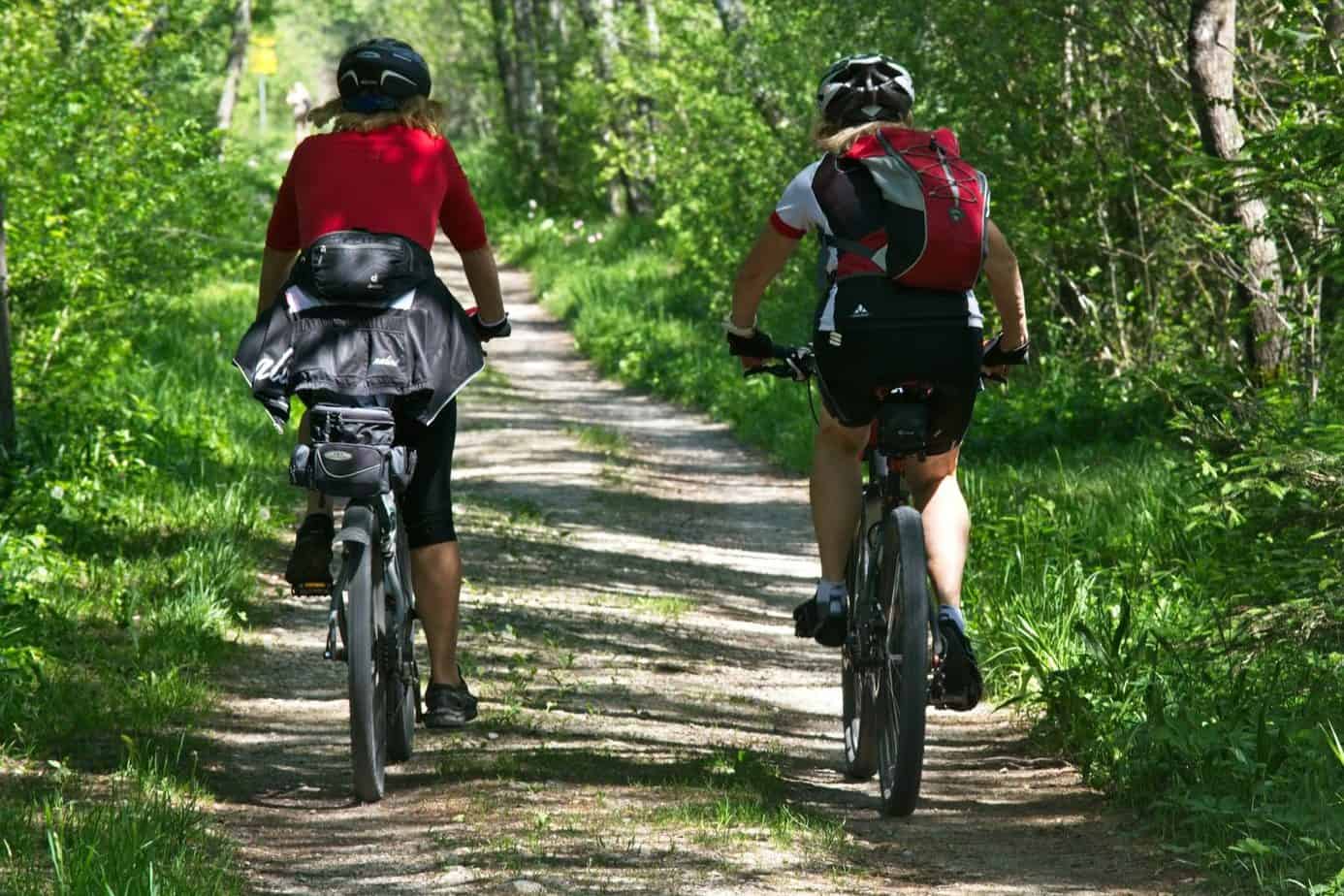 comfortable mountain bike seats