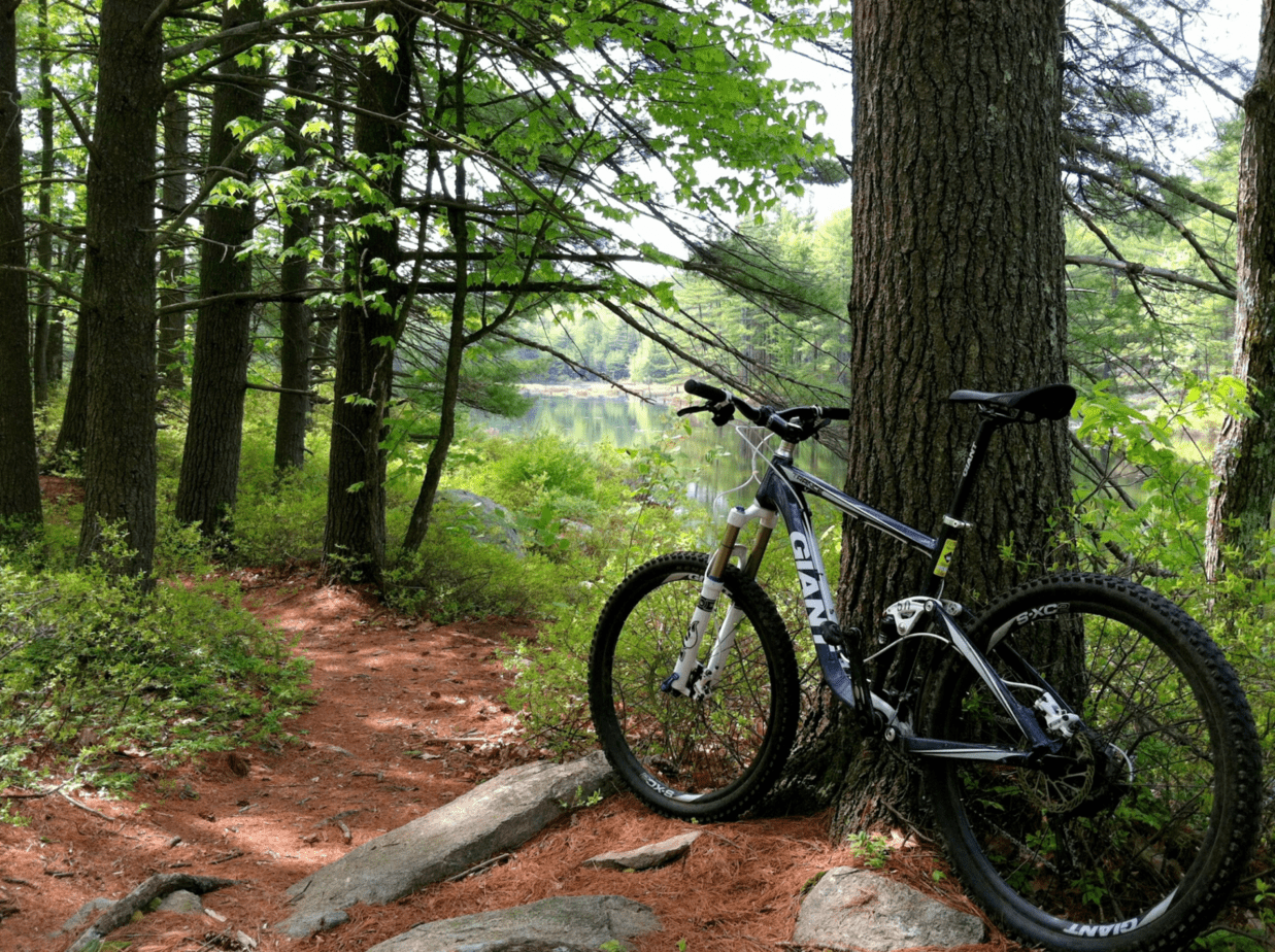 Top 7 Mountain Bike Trails In New Hampshire Mountain Bikes Ride