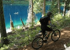 McKenzie River Mountain Bike Trail